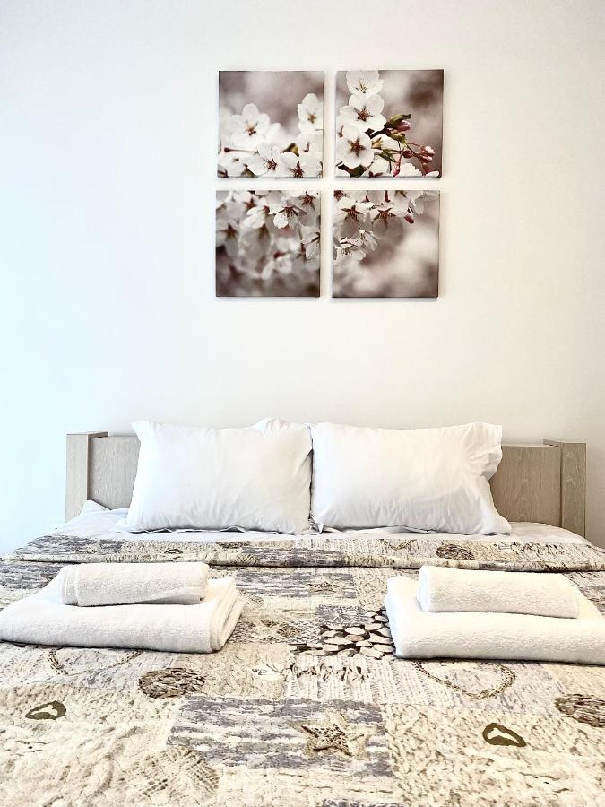Daria'S Apartment บราชอฟ ภายนอก รูปภาพ